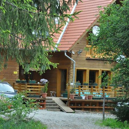 Bed and Breakfast Mofetta Panzio Sintimbru-Bai Экстерьер фото