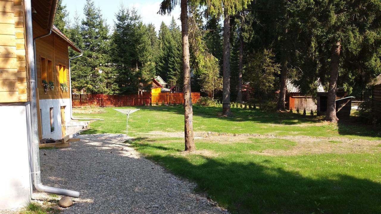 Bed and Breakfast Mofetta Panzio Sintimbru-Bai Экстерьер фото