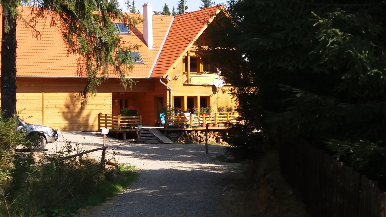 Bed and Breakfast Mofetta Panzio Sintimbru-Bai Экстерьер фото