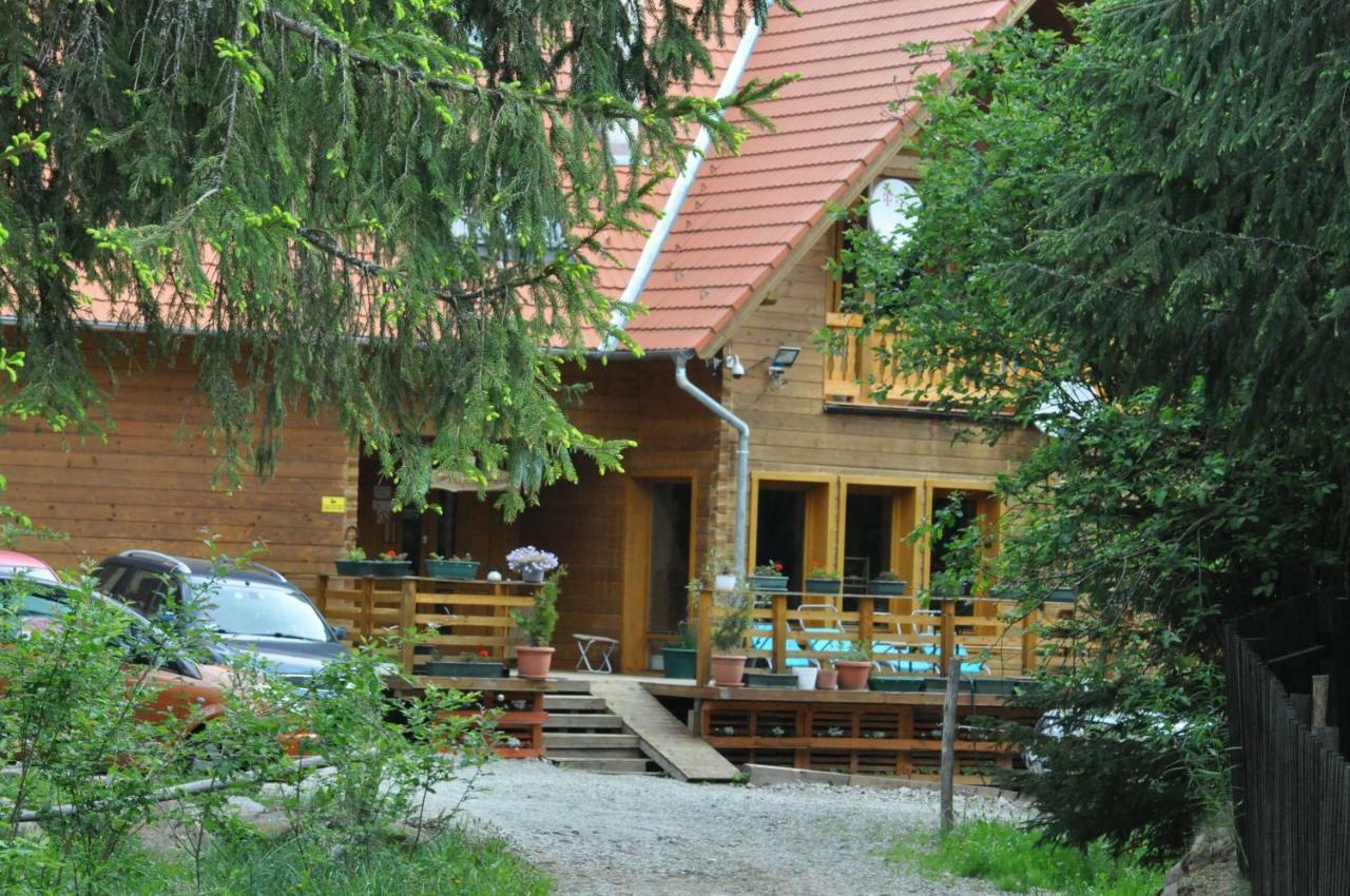 Bed and Breakfast Mofetta Panzio Sintimbru-Bai Экстерьер фото